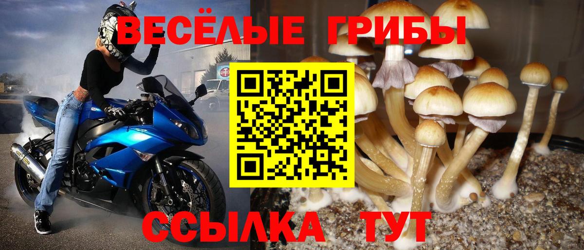 Галлюциногенные грибы MAGIC MUSHROOMS Жуковский