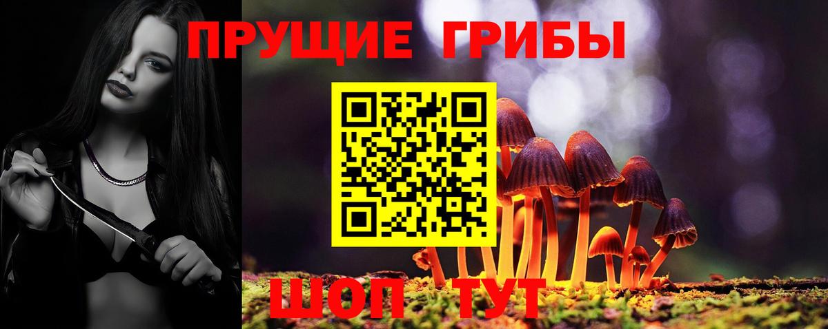 Псилоцибиновые грибы GOLDEN TEACHER  Вход с VPN  Жуковский 